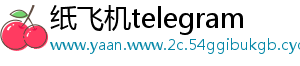 纸飞机telegram